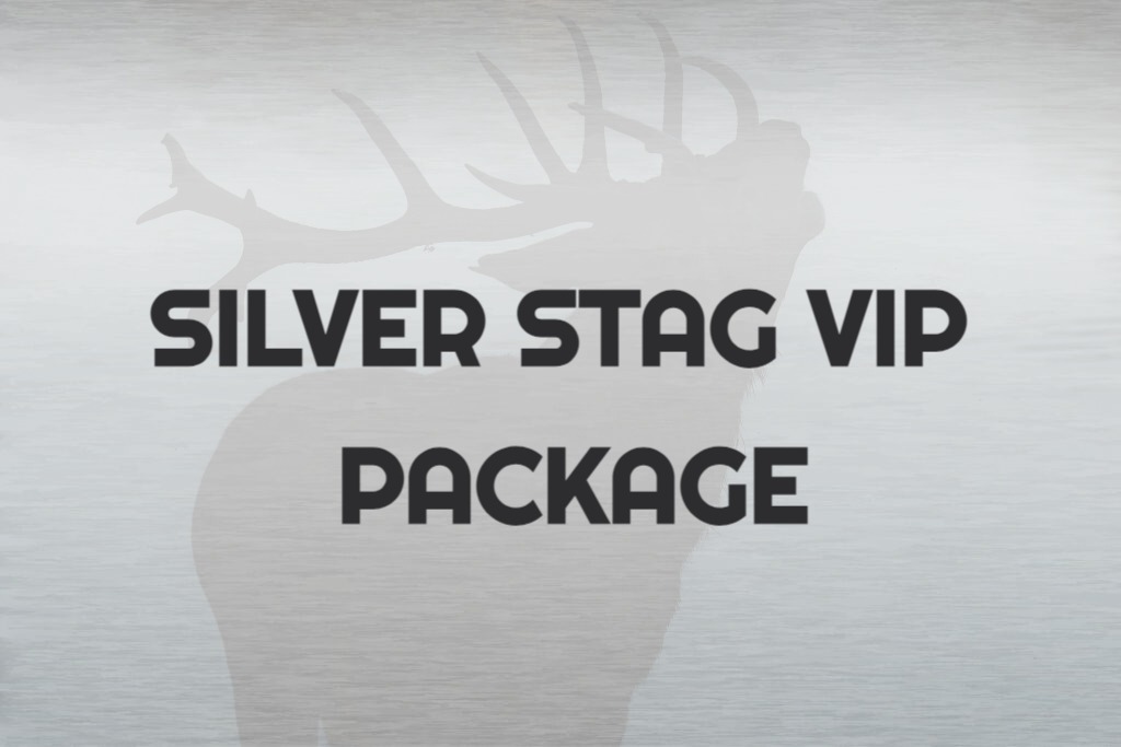 stag package budapest - stag do activity - STAG VIP