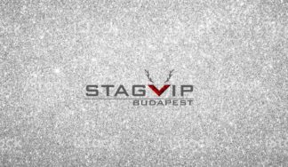 silver stag do package in Budapest