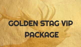 Budapest stag do package - stag do activity - STAG VIP