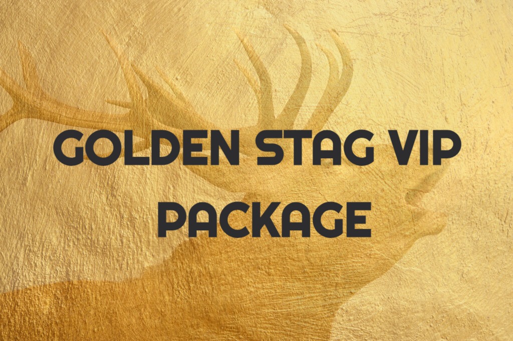 Budapest stag do package - stag do activity - STAG VIP