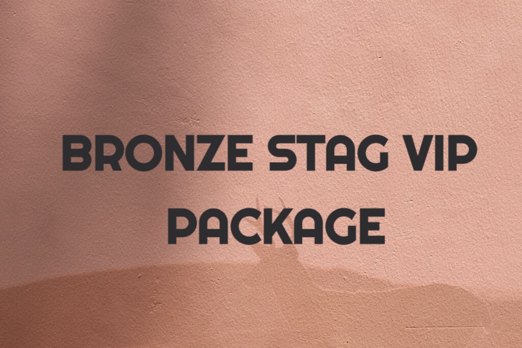 budapest stag package - stag do activities - STAG VIP
